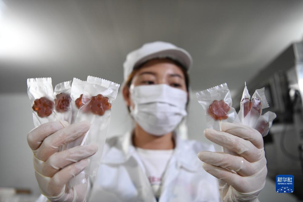 新濠登录网址